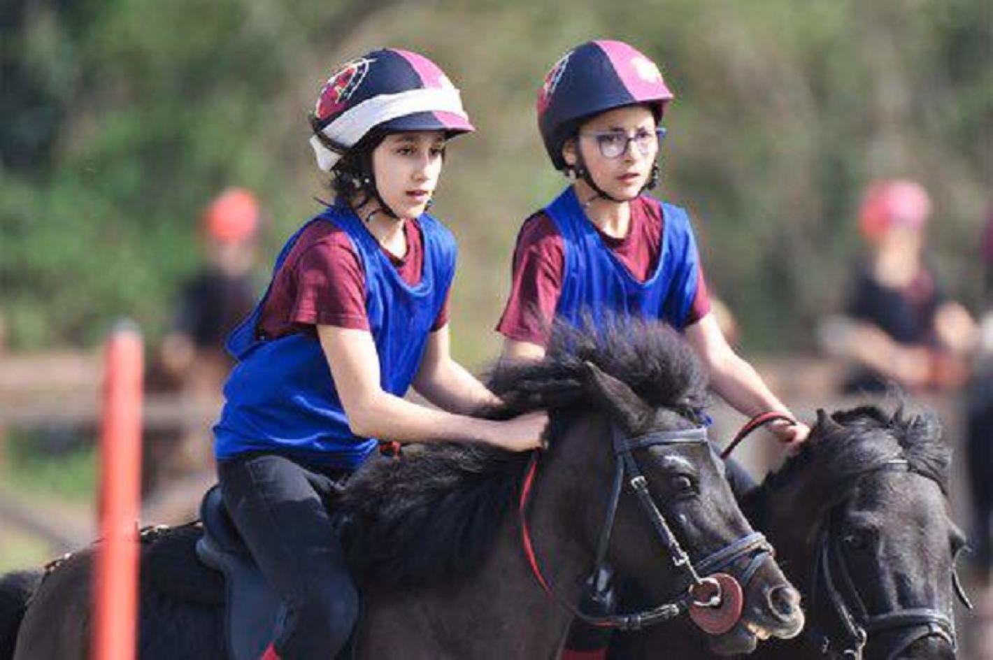 images/sicilia/Pony/medium/Scarpato_scibilia_ponyamo.jpeg