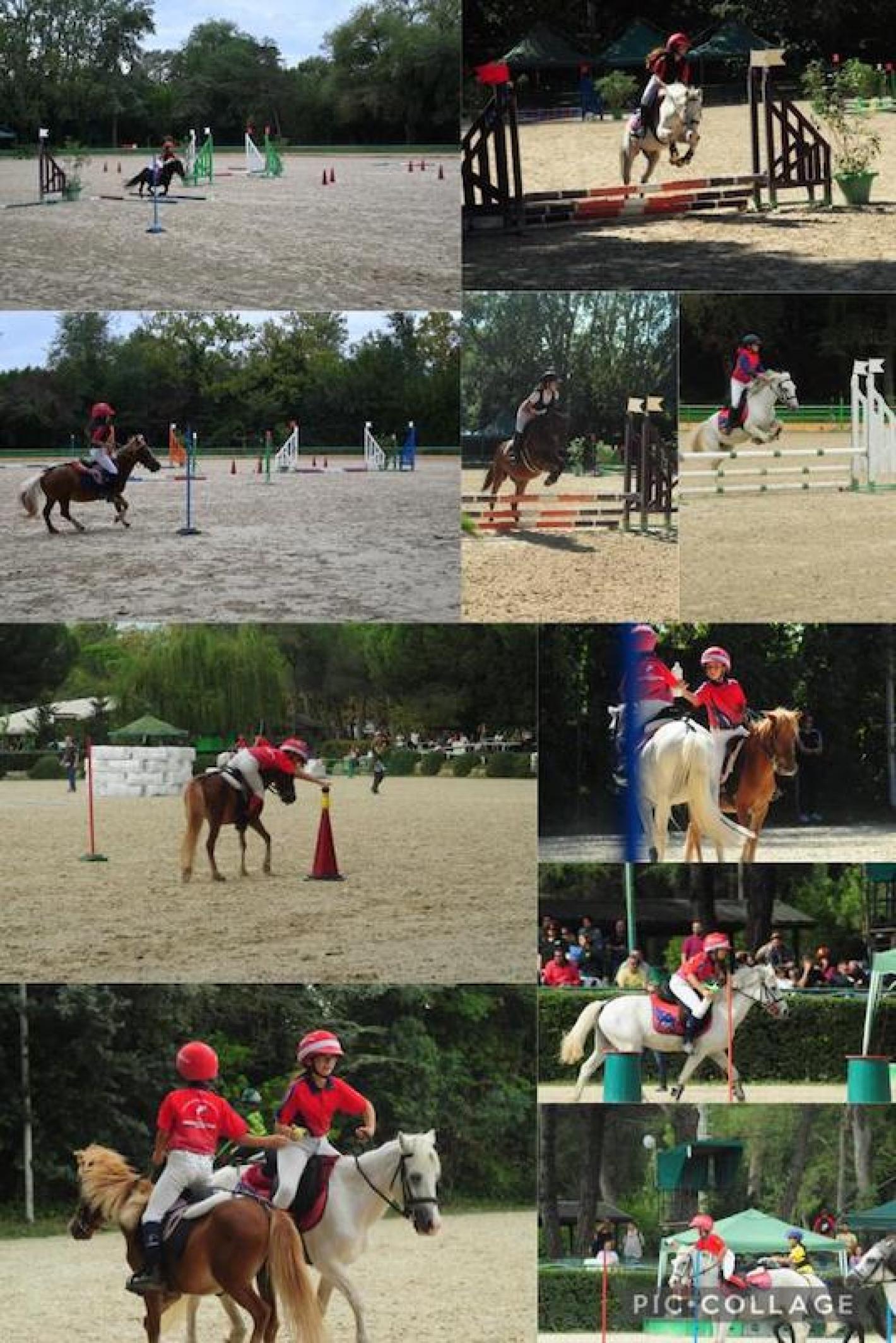 images/sicilia/Pony/medium/Settore_ludico_generica.jpg