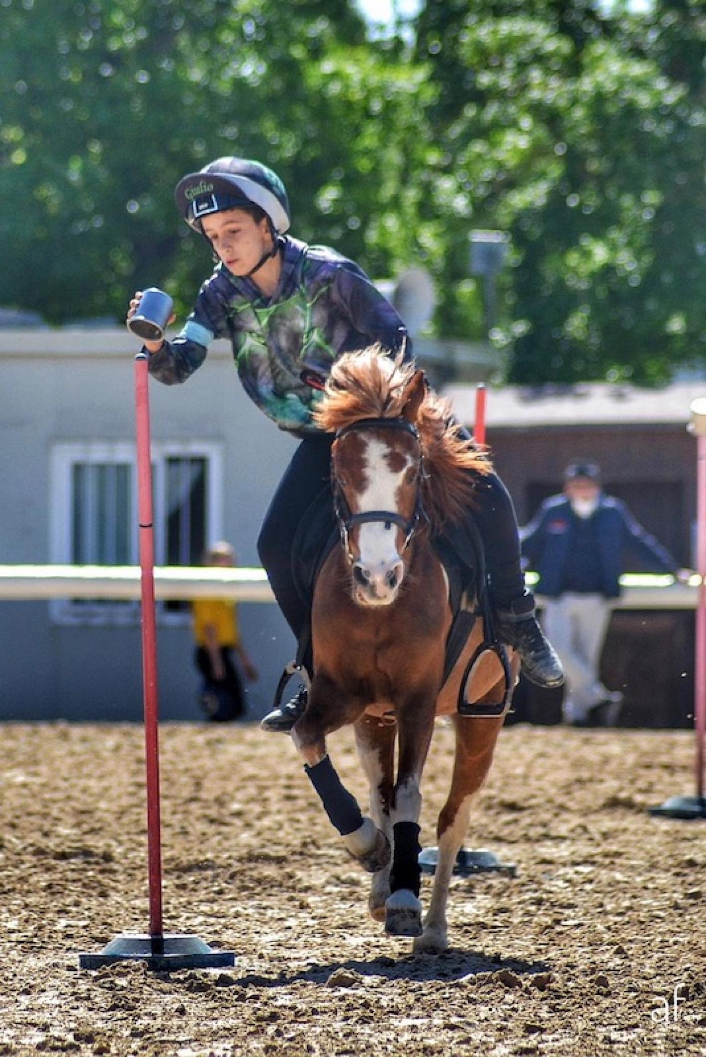 images/sicilia/Pony/medium/Sindoni_giulio_charlie.jpeg