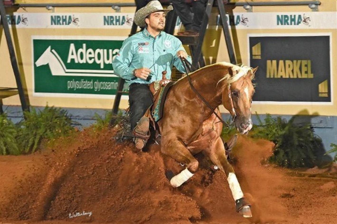 images/sicilia/Reining/medium/Lendi_courtesy_Lendi.jpeg