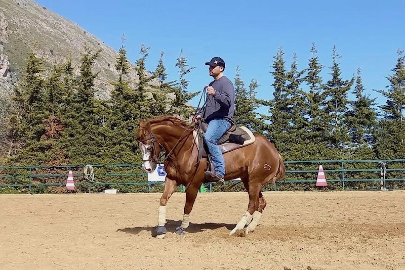 images/sicilia/Reining/medium/Lendi_gennaro_clinic.jpeg