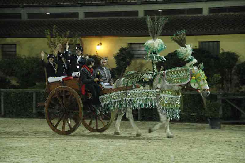 3 Carretto Siciliano percheron