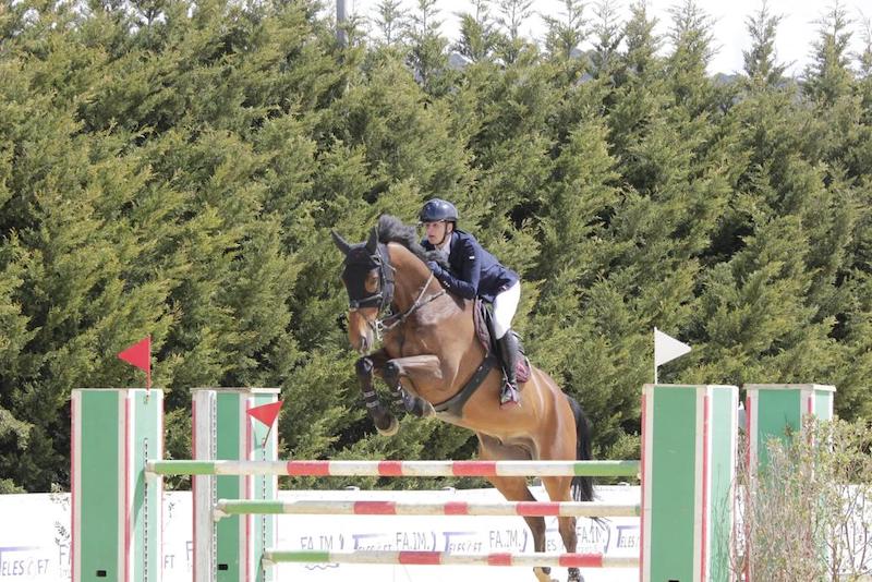 Allò matteo allstarderesz photo horses