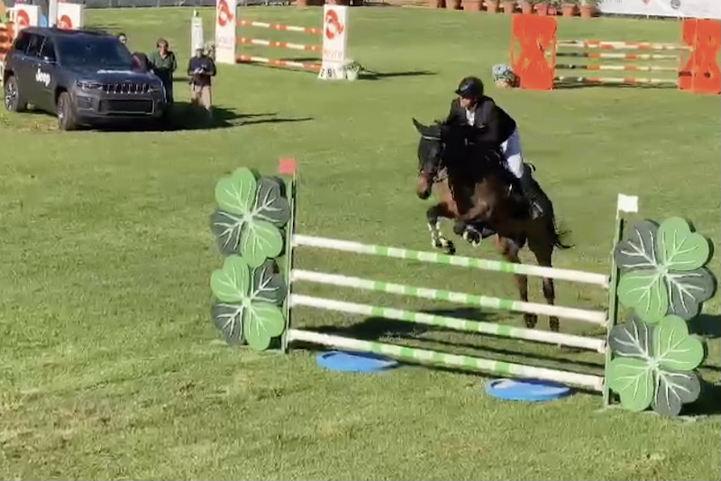 Cambria Salvatore Norton de Kalvarie