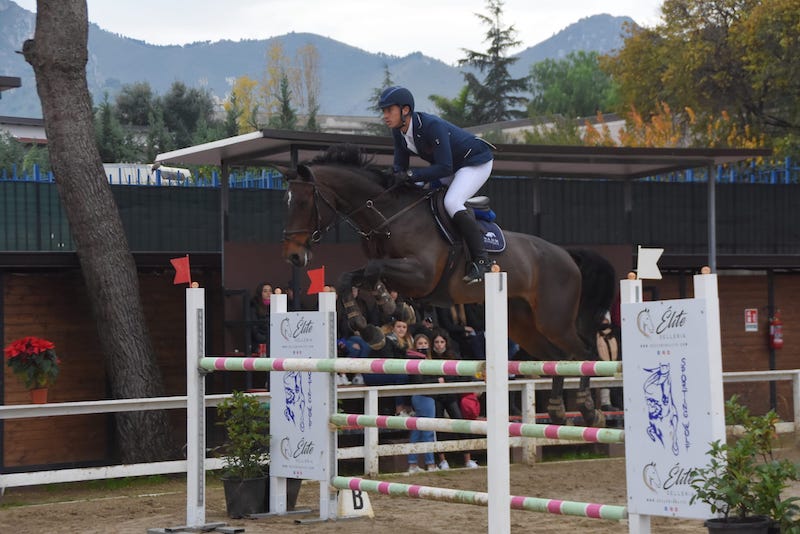 LaSpina Alessandro ZoePhoto horses