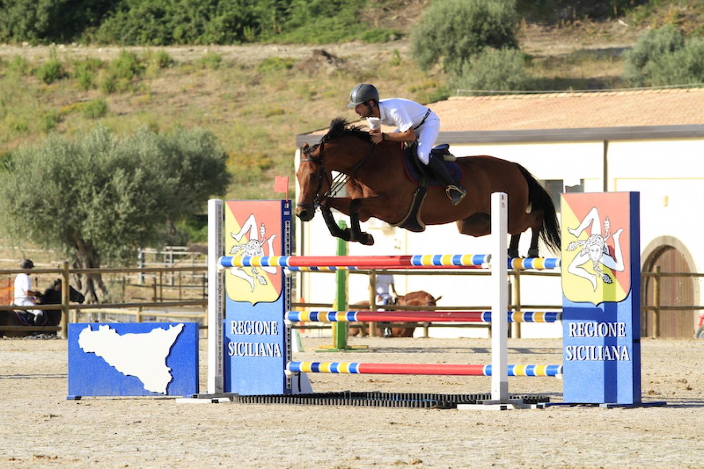 images/sicilia/Salto_Ostacoli/medium/Carrabotta_giuse_Dea_mag.jpg