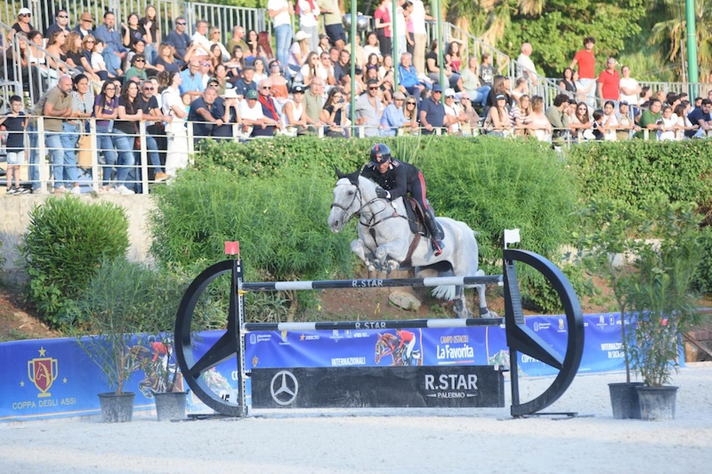images/sicilia/Salto_Ostacoli/medium/Chimirri_Bruno_Samara_Coppa_Assi.jpeg