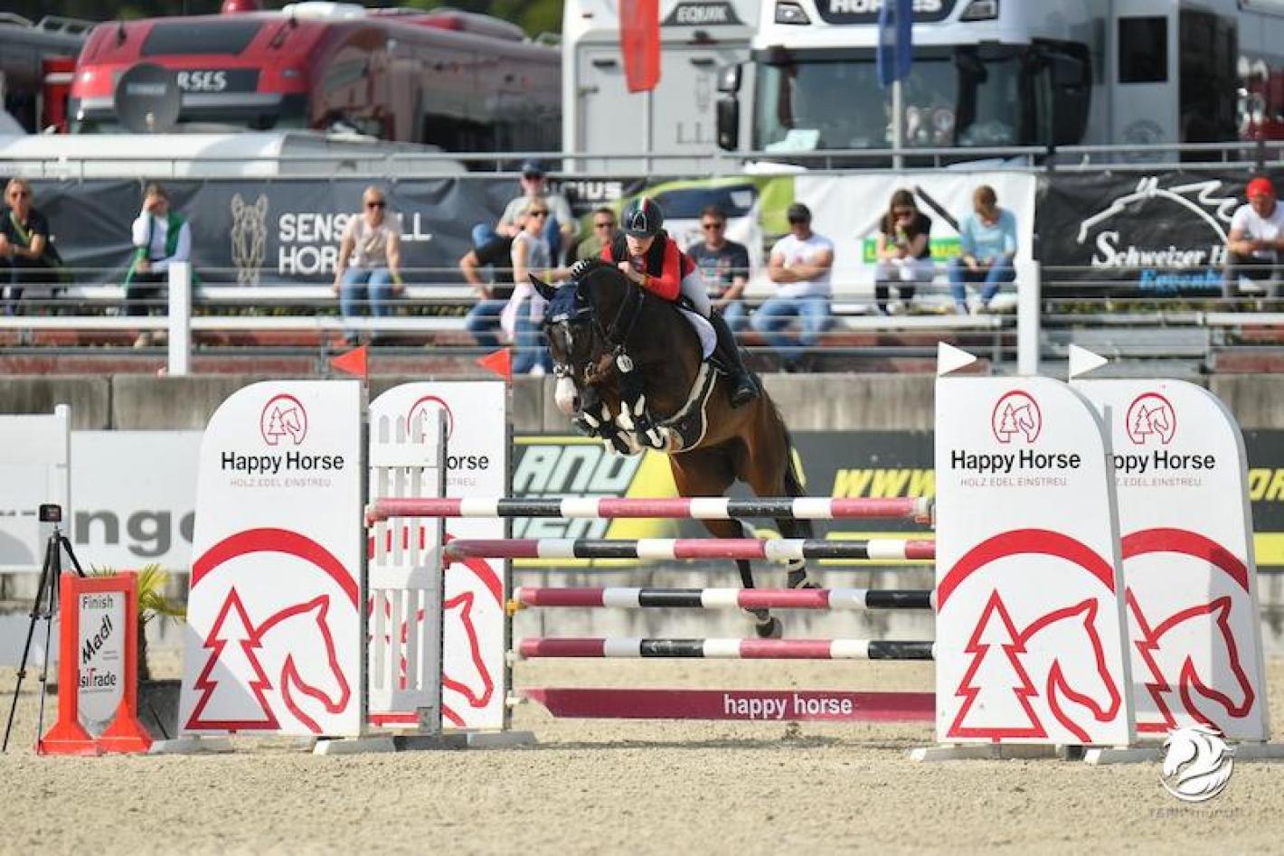 images/sicilia/Salto_Ostacoli/medium/Ciancico_MariaVittorie_Nevef_For_Get_ME.jpg
