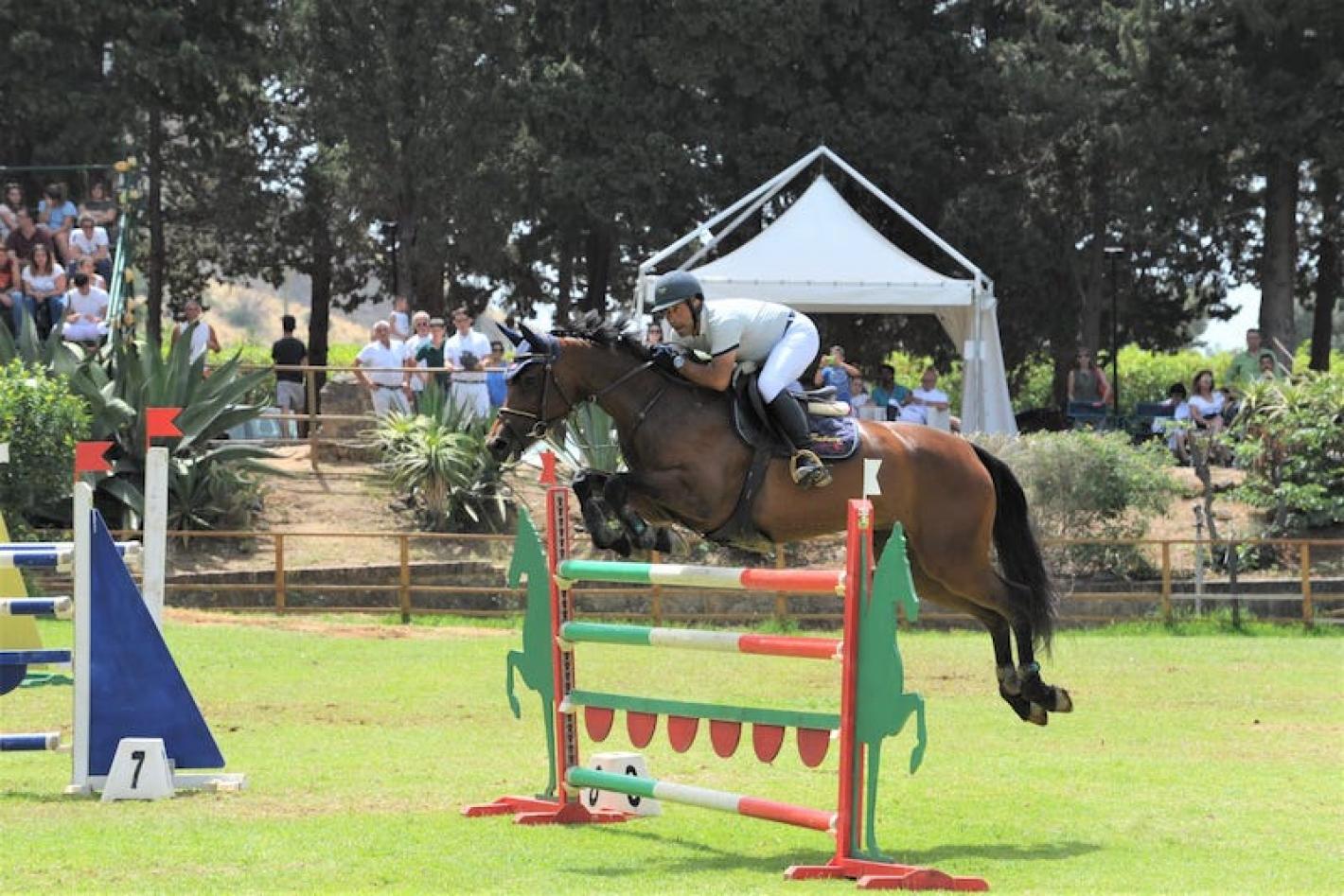 images/sicilia/Salto_Ostacoli/medium/Fisichella_Fashion_di_sabuci_Horses.jpeg