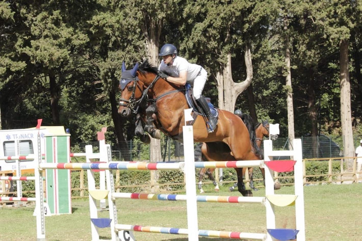 images/sicilia/Salto_Ostacoli/medium/Guastella_Giancarlo_CapoenKz_horses_photo.jpeg
