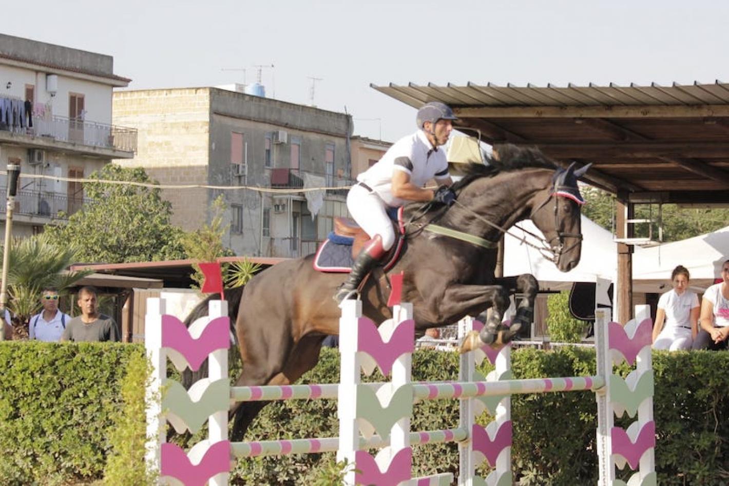 images/sicilia/Salto_Ostacoli/medium/Libassi_bzara_horsesphoto.jpeg