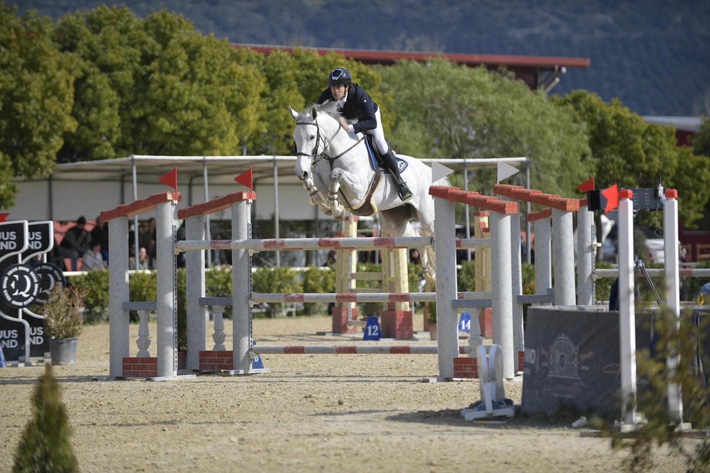 images/sicilia/Salto_Ostacoli/medium/Nicastri_Daniele_Comanchero.jpeg