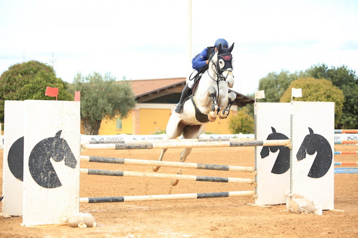 images/sicilia/Salto_Ostacoli/medium/Pulvirenti_mariovalerio_Napulè.jpg