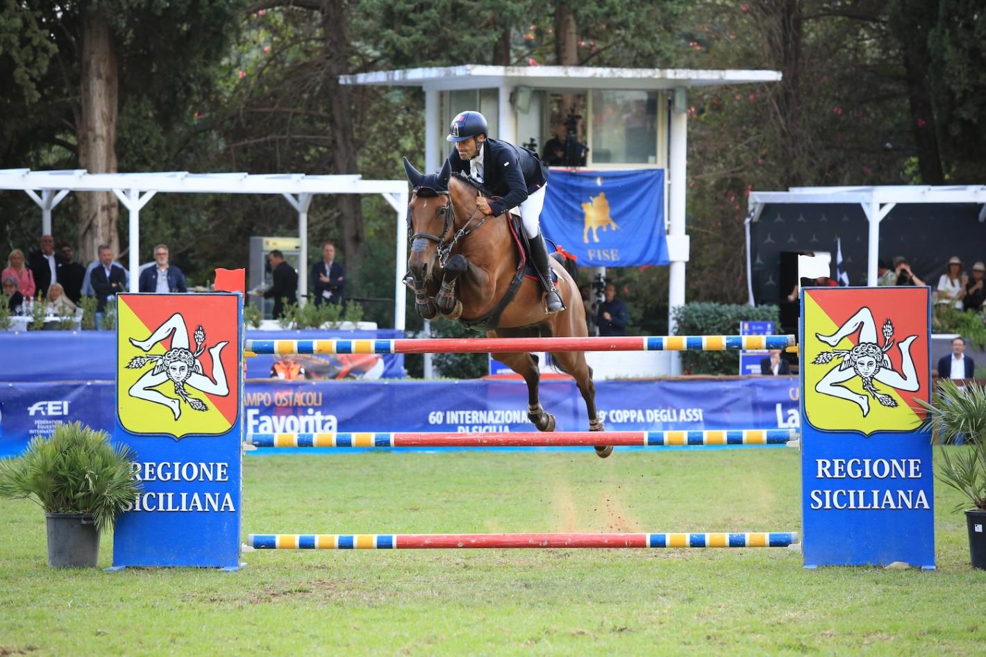 images/sicilia/Salto_Ostacoli/medium/QUONDAM_Chaccbay_150.jpg