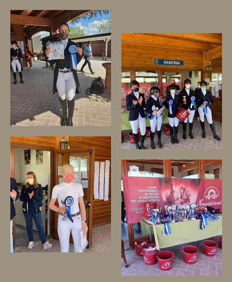 184832716 740423183296627 8829399353210850596 n dressage2