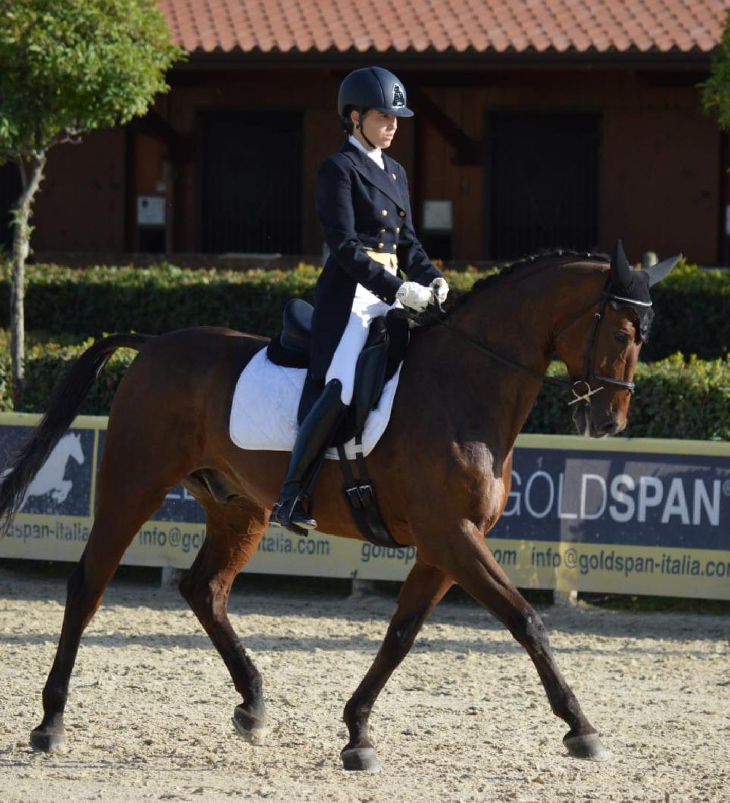 images/toscana/Dressage/medium/71b451a5-3749-49b2-aff9-a231f6f113f5.jpg