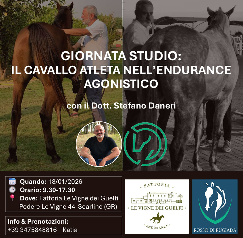 Locandina intera Vigne dei Guelfi