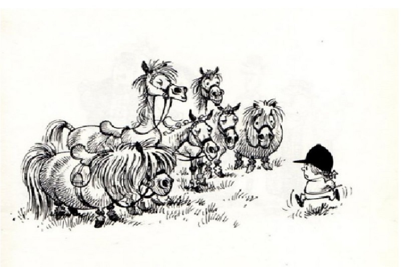 disegno pony