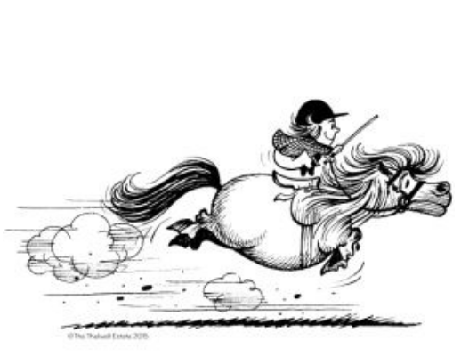PONY GALOPPO