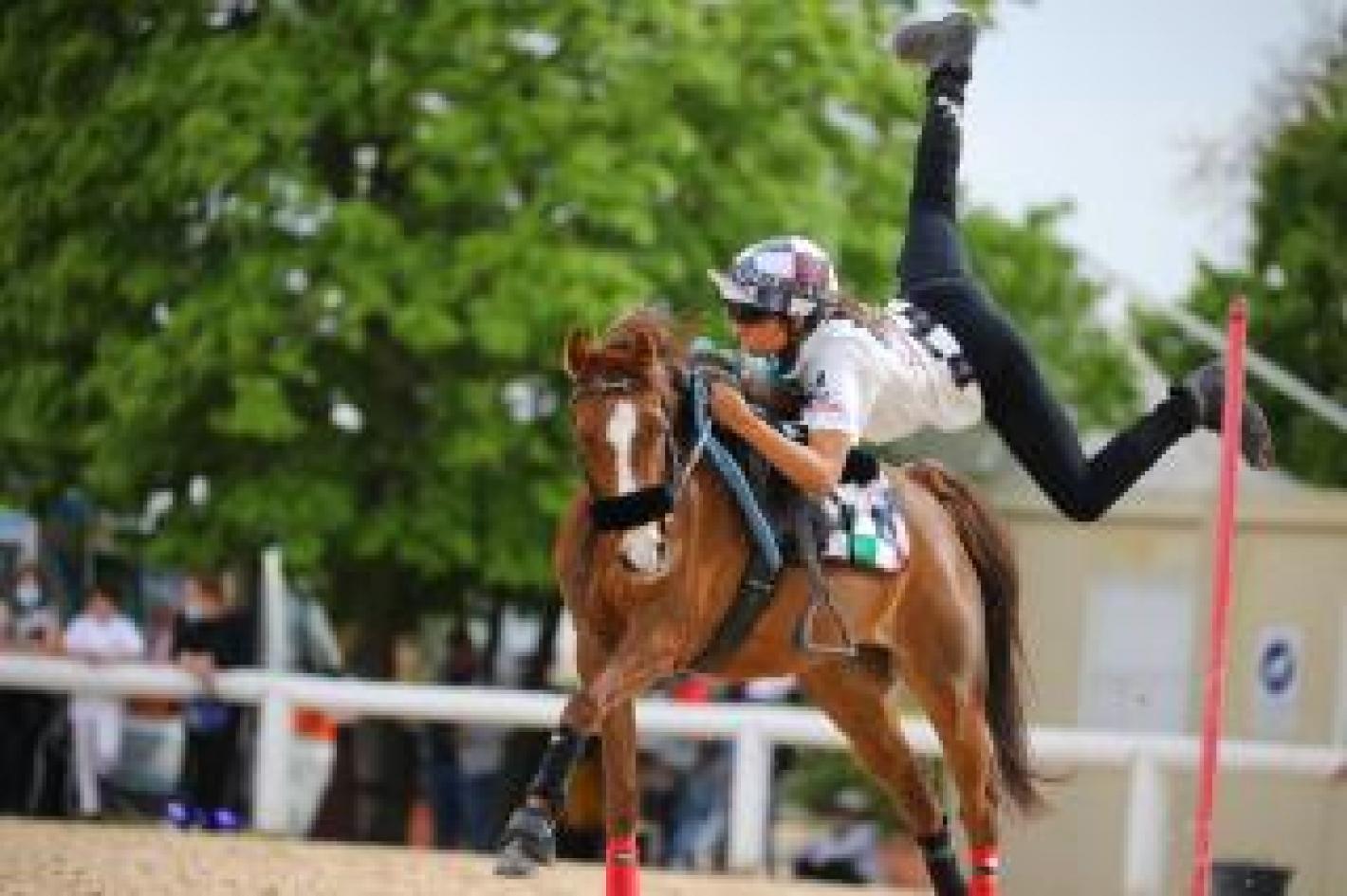 images/toscana/Pony/medium/f25d95bf-a3f3-491e-8f38-c1906ee8922c.jpg