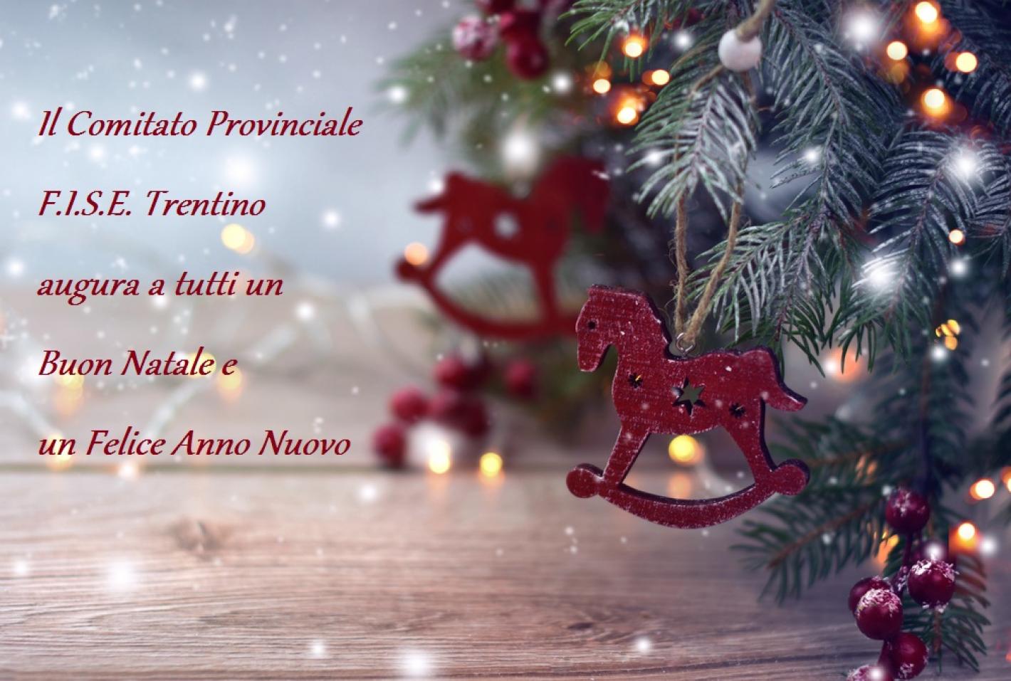 images/trentino/medium/Auguri-Natale-2020.jpg