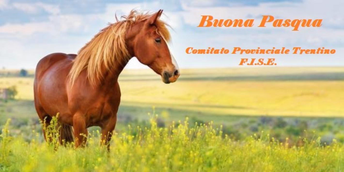 images/trentino/medium/Buona_Pasqua.jpg