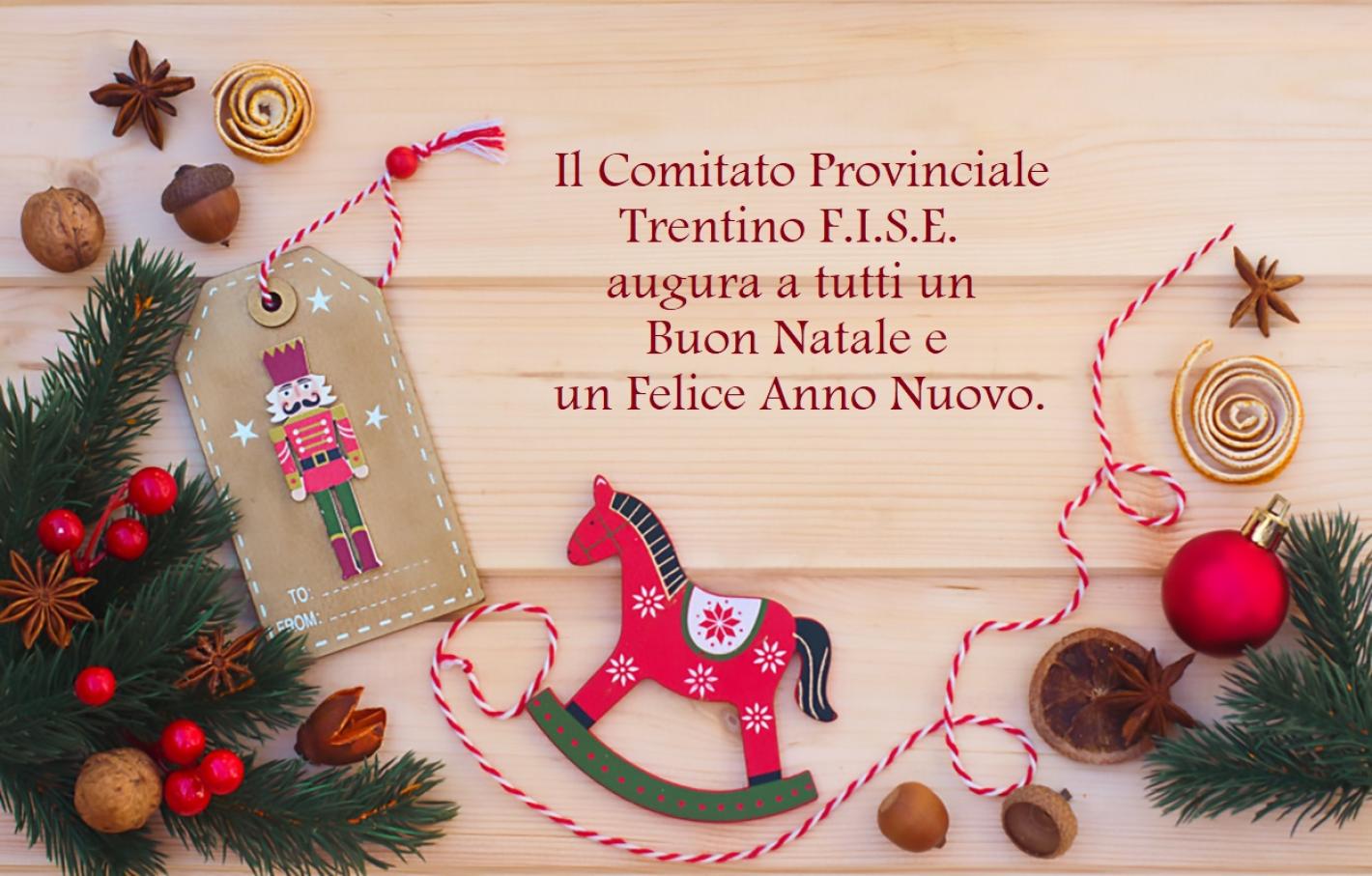 images/trentino/medium/cavallo-dondolo-natale-shutterstock_1508611160.jpg