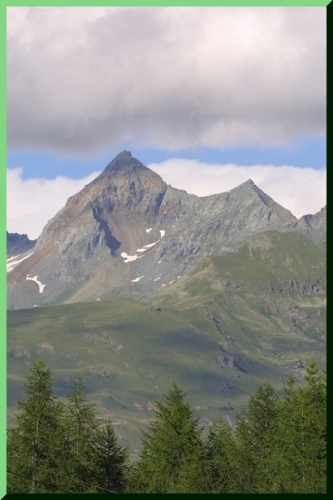 20030707 (10)