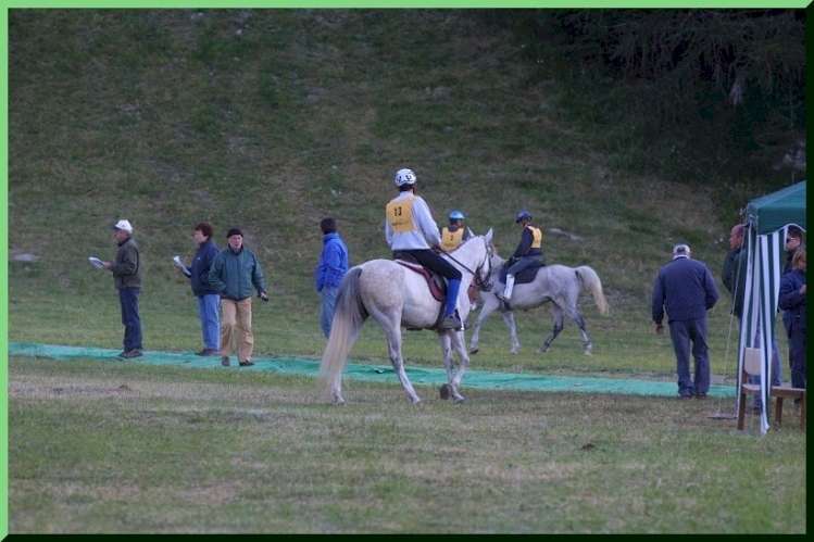 20030707 (11)