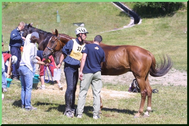 20030707 (78)