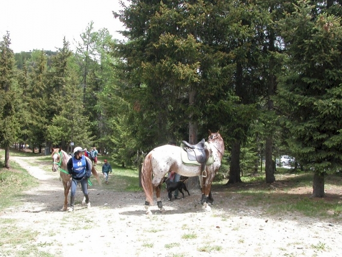 20040620 (08)