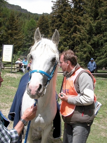 20040620 (14)