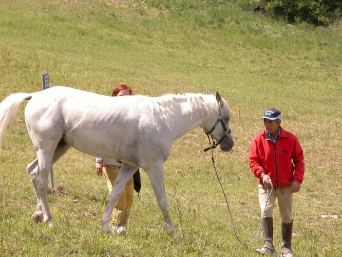 20040620 (23)