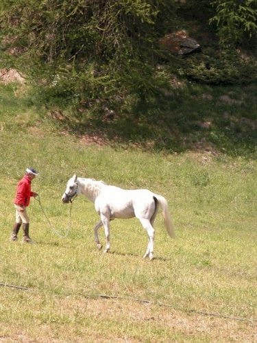 20040620 (24)