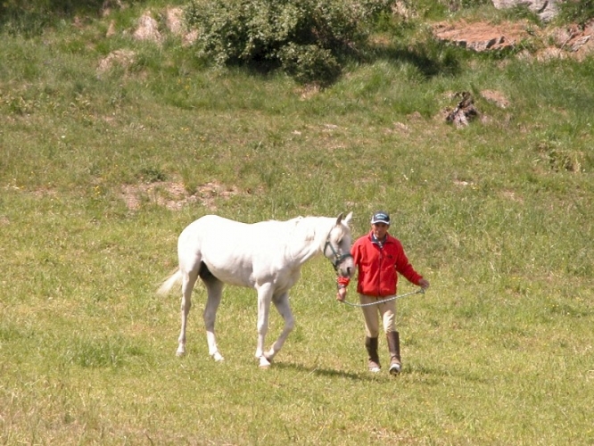 20040620 (25)