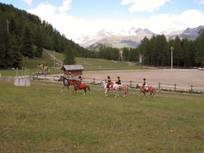 20040620 (26)