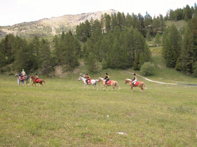 20040620 (28)