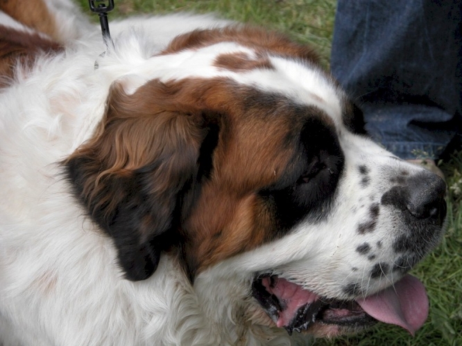 20040620 (30)
