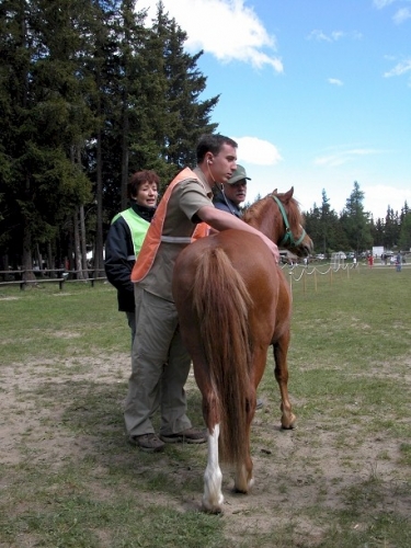 20040620 (32)