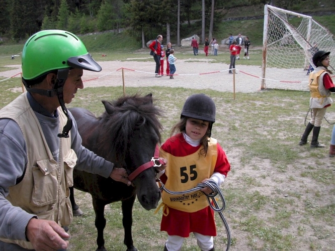 20040620 (37)