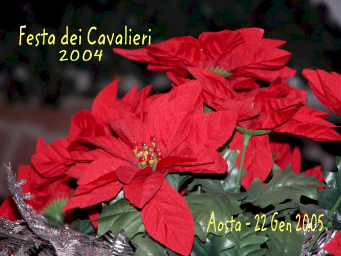 2005 Gala dei cavalieri 22/1