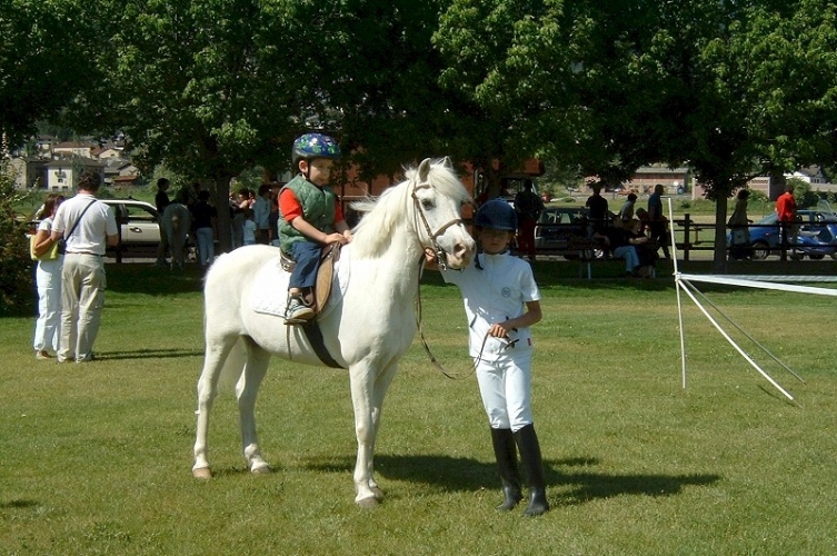 2005GS (05)