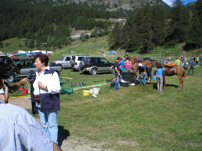 060708_torgnon_06