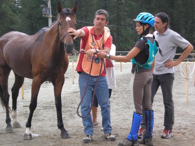 060708_torgnon_45