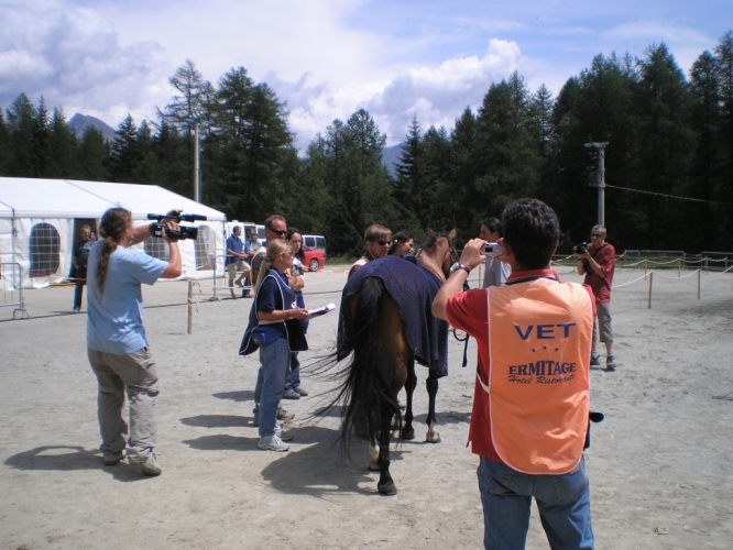 060708_torgnon_48