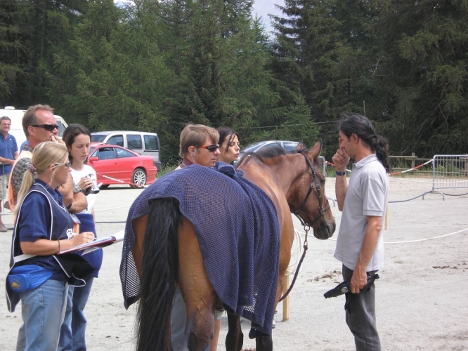 060708_torgnon_49