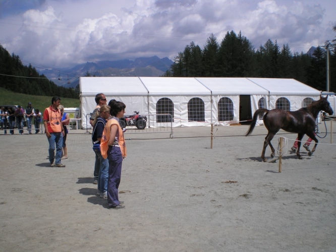 060708_torgnon_56