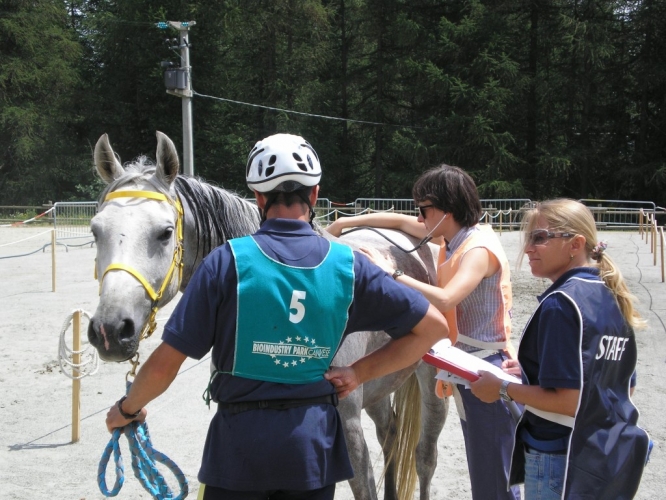 060708_torgnon_59