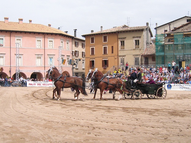 2006Leonessa (02)