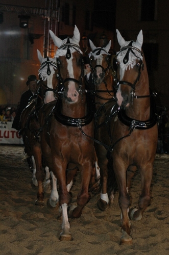 2006Leonessa (17)